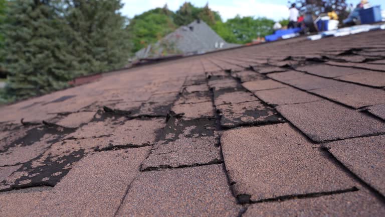 Navarre, OH Roofing Service Company
