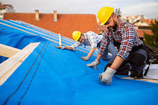 Best Roof Ventilation Installation  in Navarre, OH