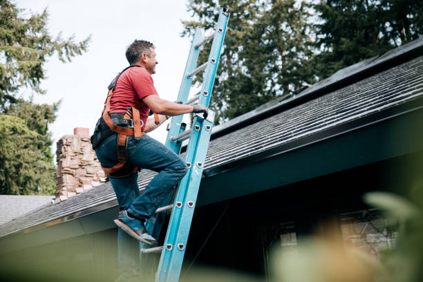 Best Solar Panel Roofing Installation  in Navarre, OH